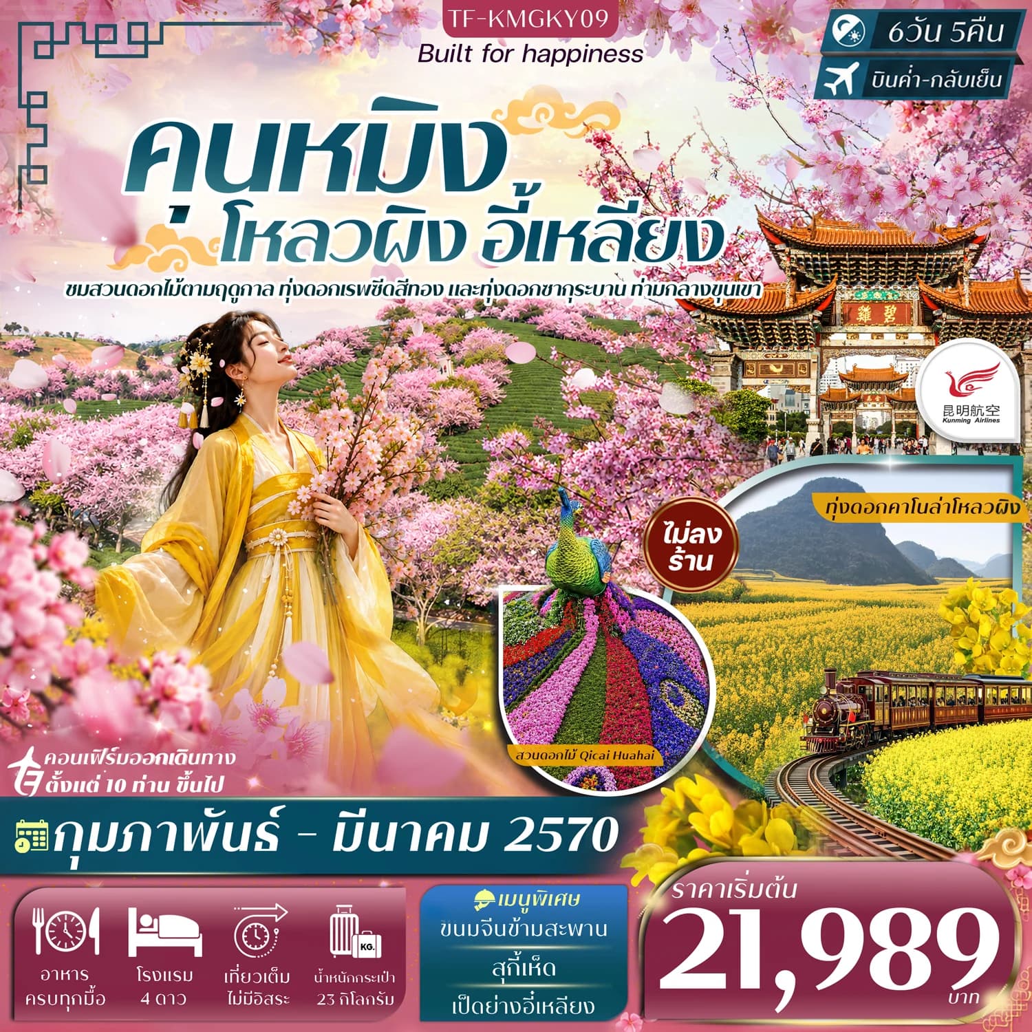 TF-KMGKY09 คุนหมิง โหลวผิง ชมดอกมัสตาร์ด อี้เหลียง ชมสวนซากุระ 6วัน 5คืน Kunming Airlines (KY) #ทัวร์ไม่ลงร้าน